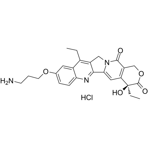 T-2513 hydrochloride 187793-52-8
